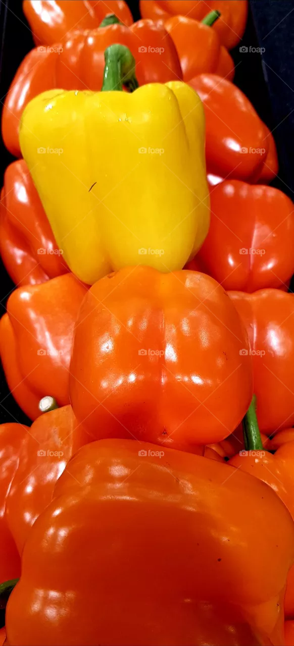 Vegetable