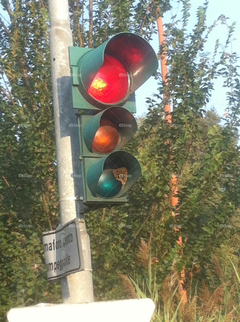 Alveare al semaforo