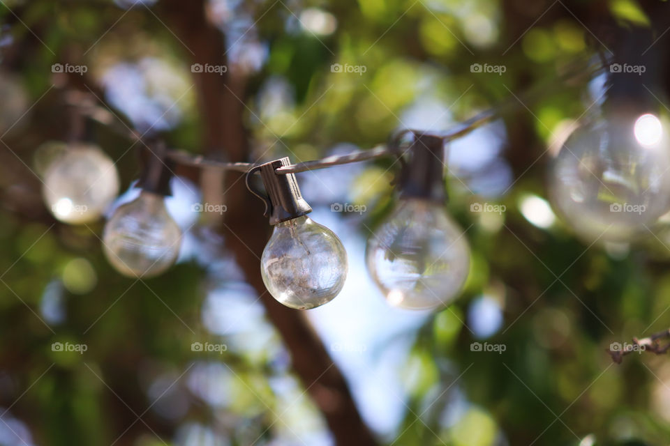 String of lights in the garden