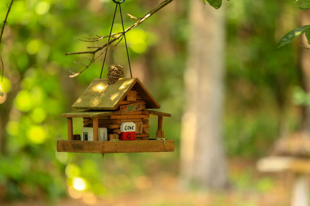 Bird Hotel. This hotel is available for migrating smaller birds. It is free for any bird and comes with bed and breakfast! 