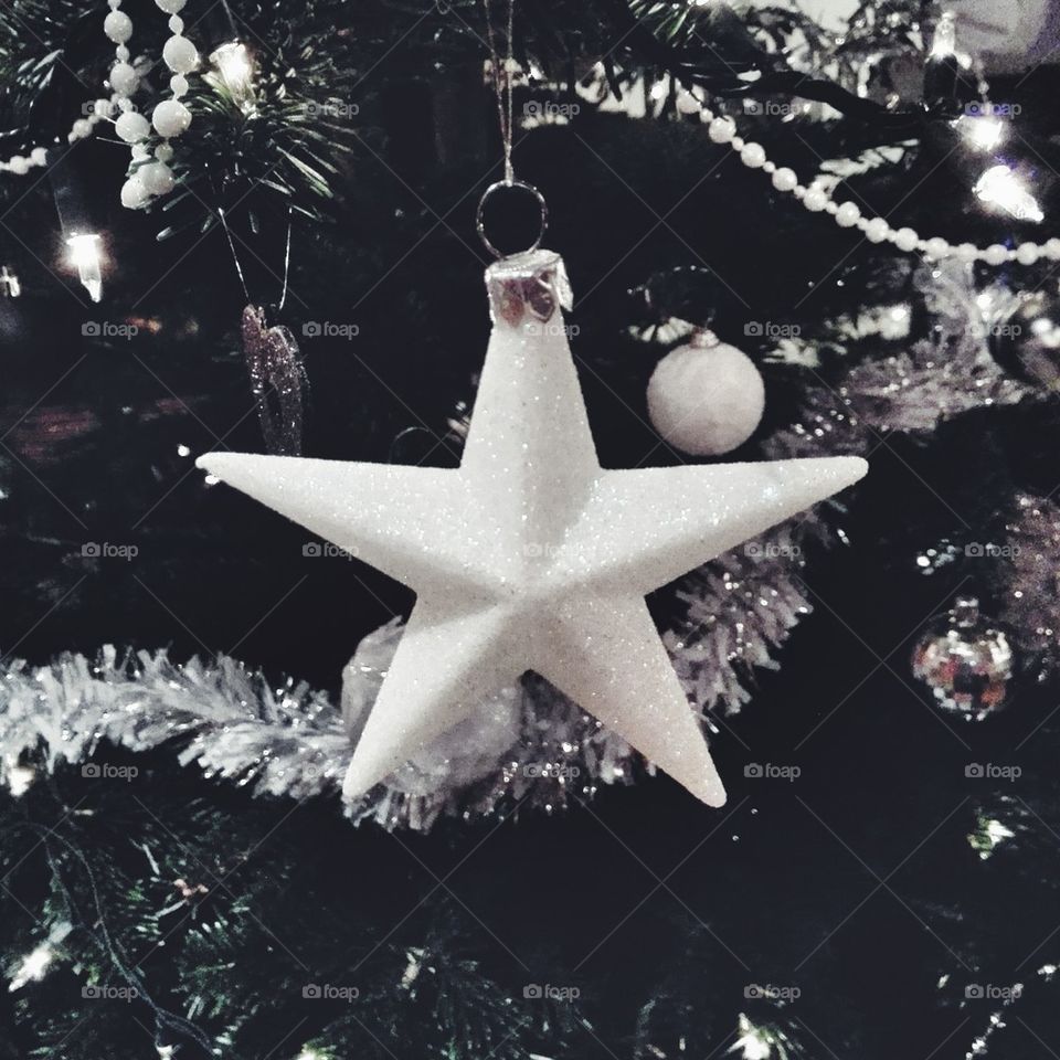 xmas star