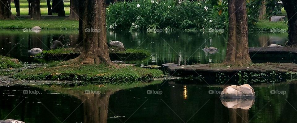 Dadong Wetlands Park