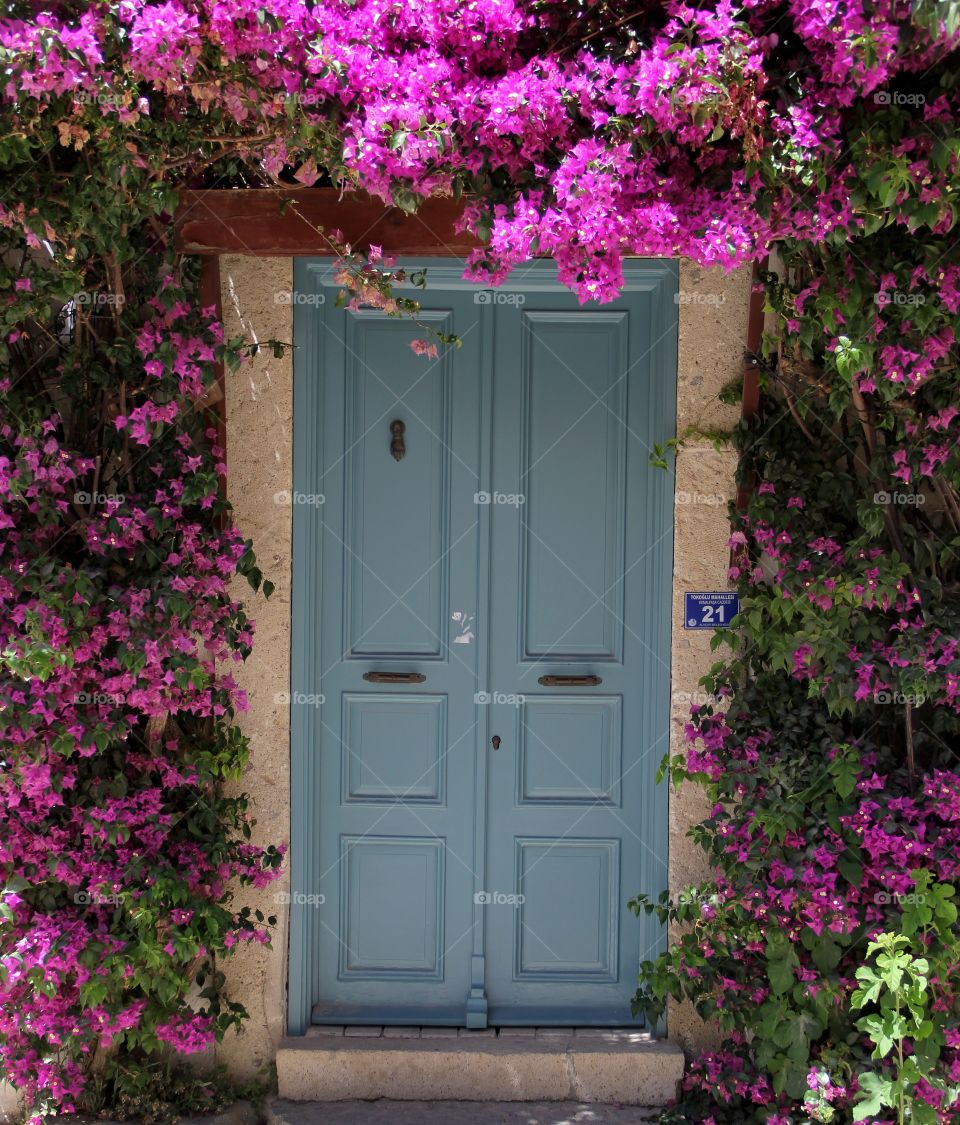 Door Gate