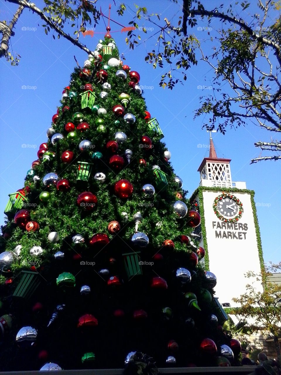 Christmas tree at Farmers Market.