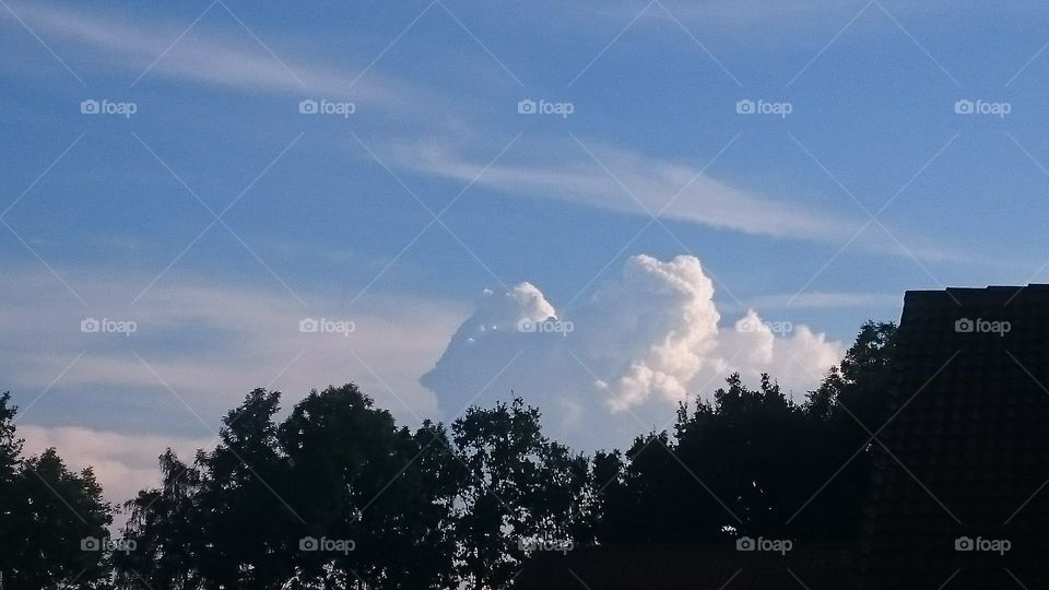 big cloud behind the trees
