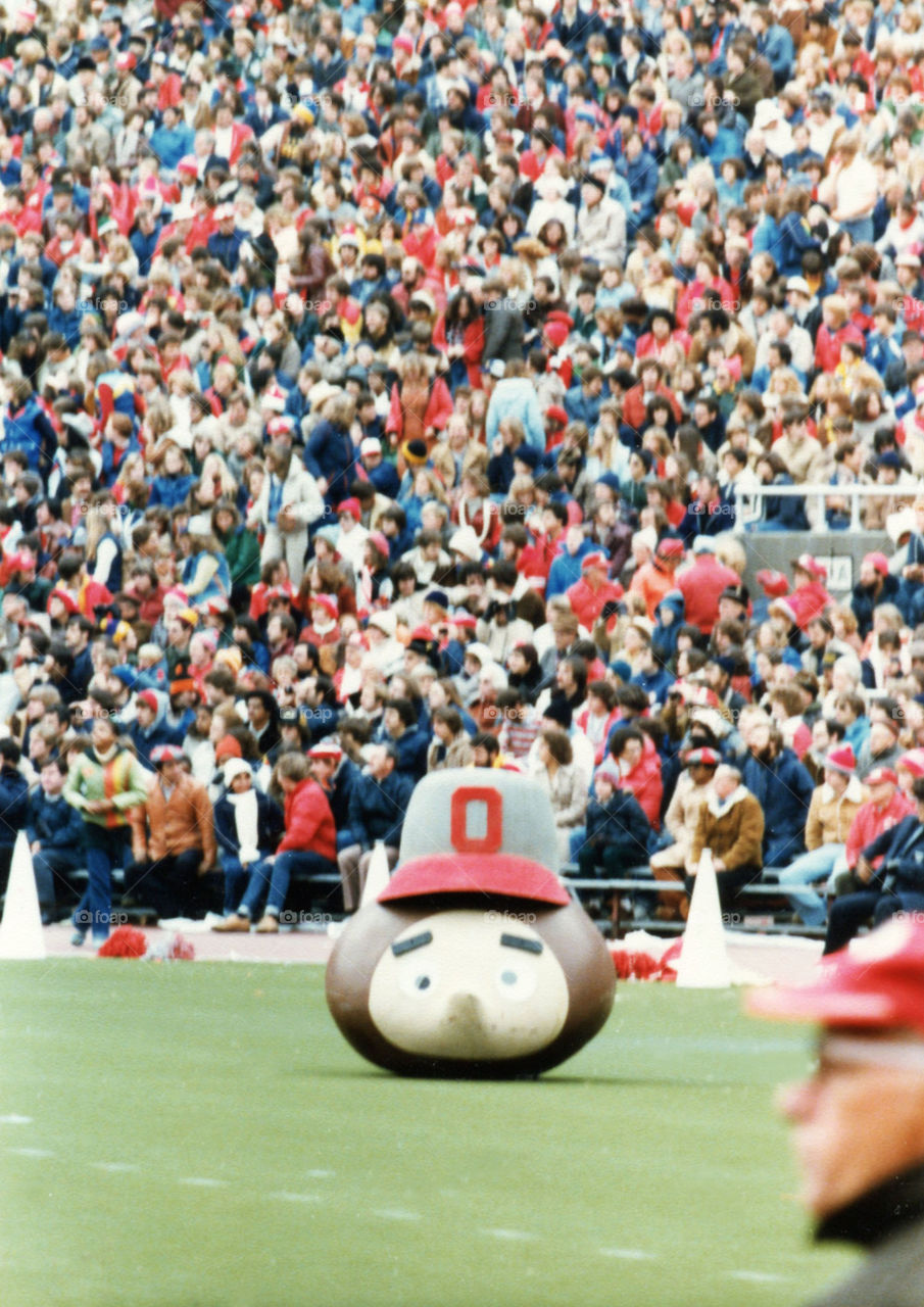 Brutus Buckeye
