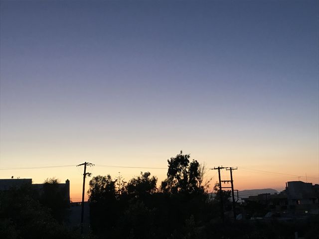 Sunset with tree silhouette Crete Greece 