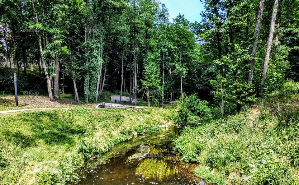 Nedin with nature. (Lithuania, July, 2019).