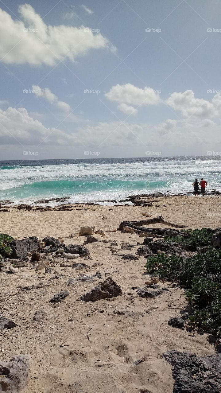 The coast of Honduras 