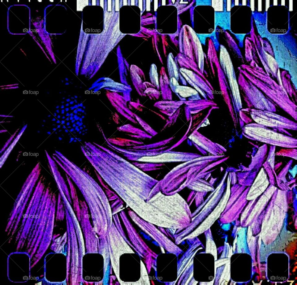 we are hue we are. lighting effects