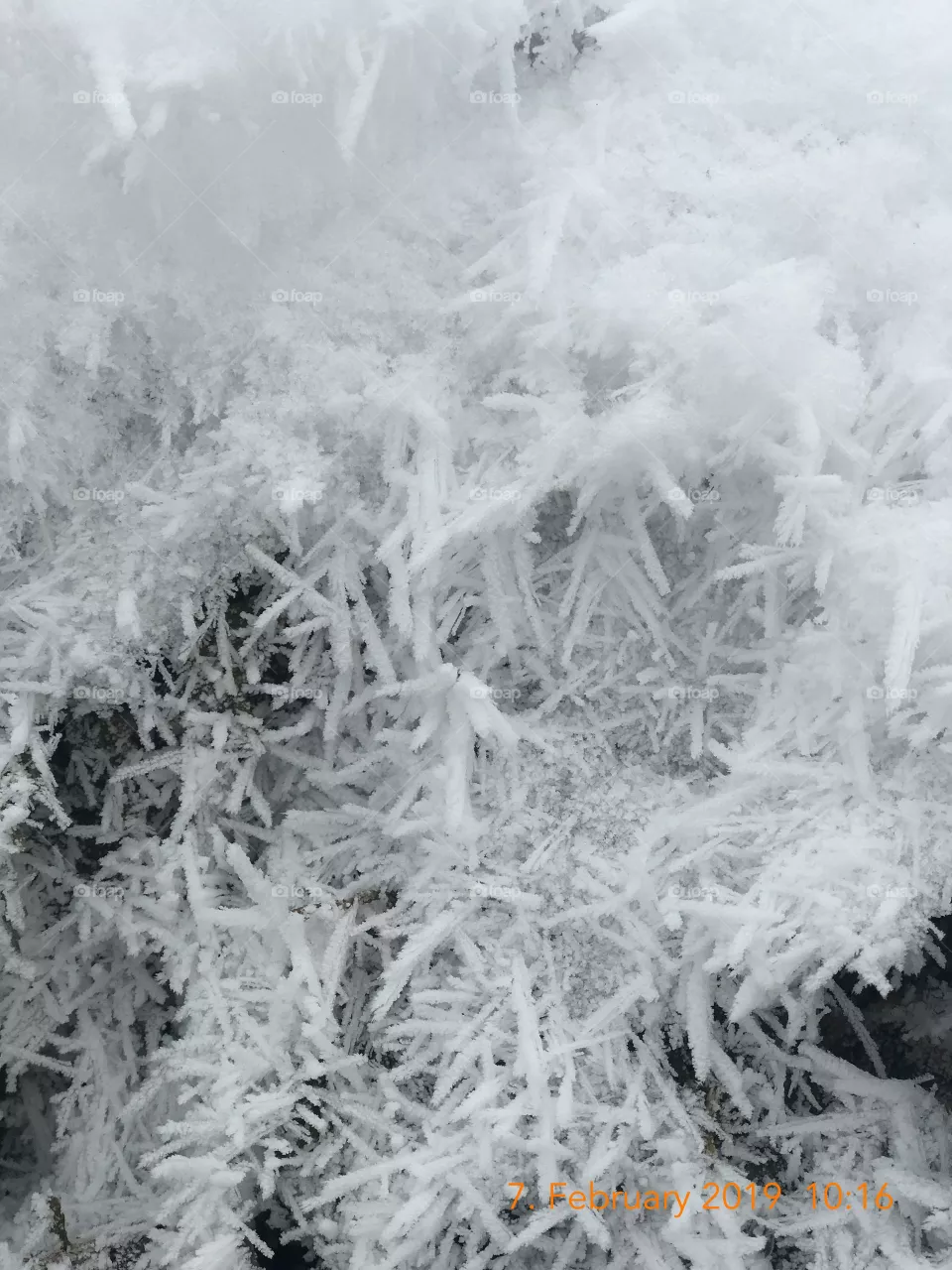 Winter season