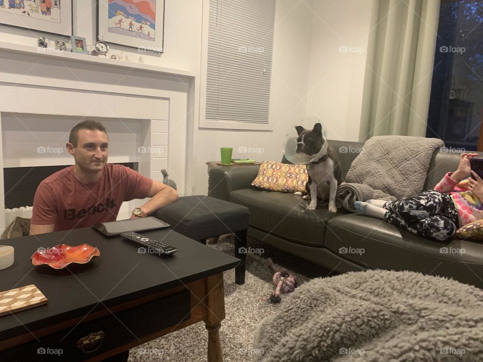 The dog that is a Boston terrier/pug mix with a a cone on his head spends time with the family in the living room on the couch 