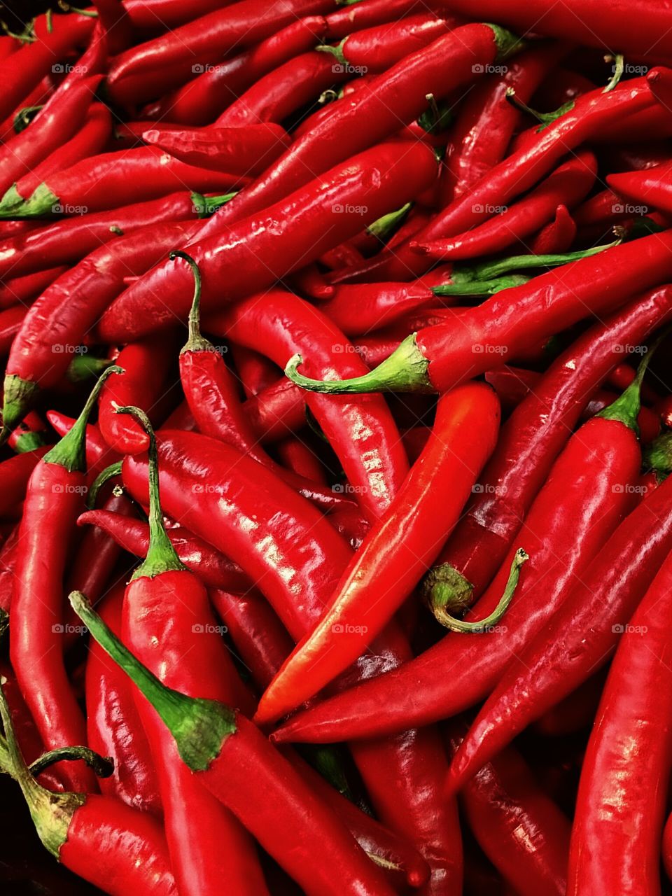 chilli