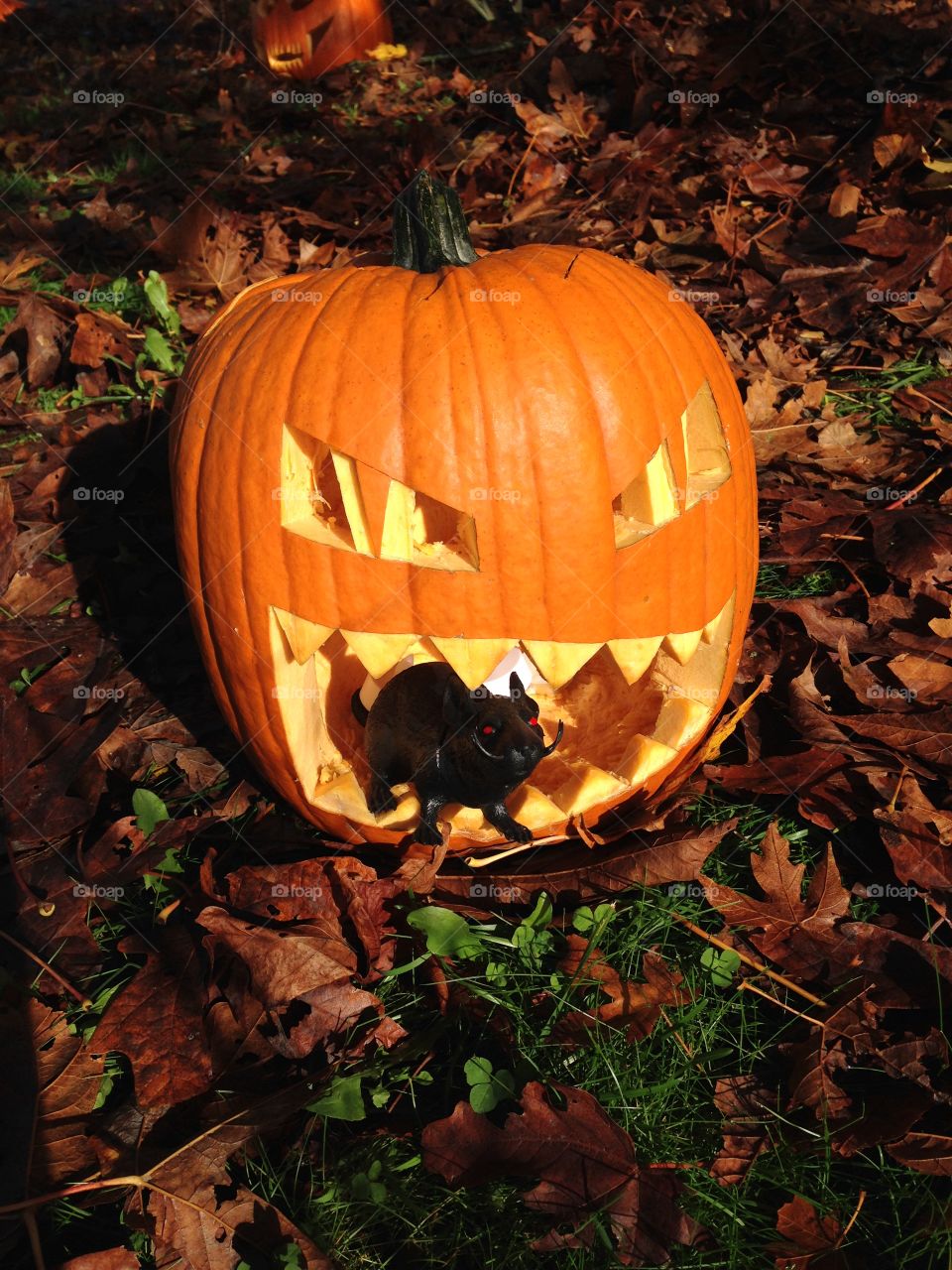 A better look at the jack-o-lantern in the yard on Halloween day.