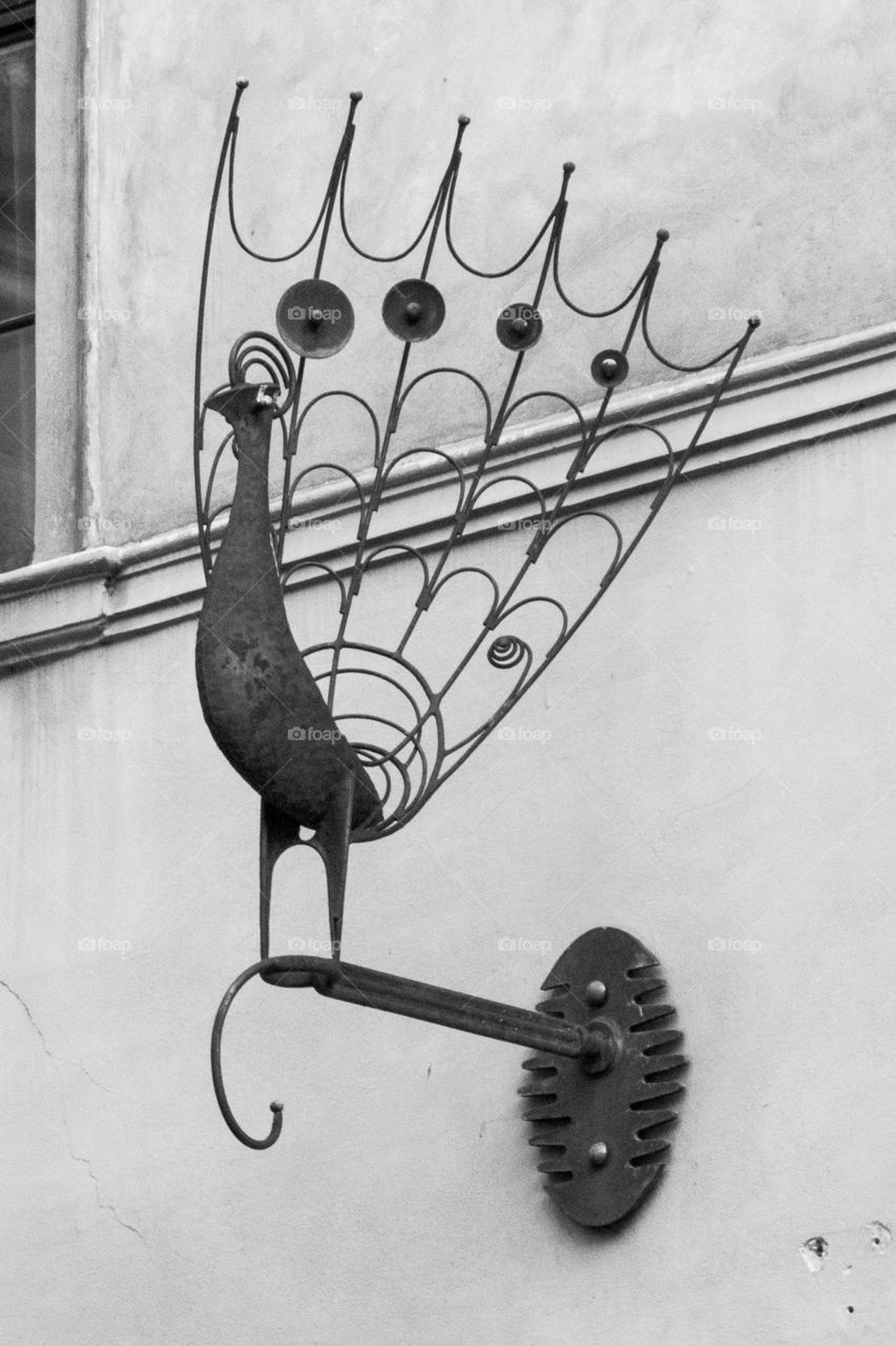 Metal peacock