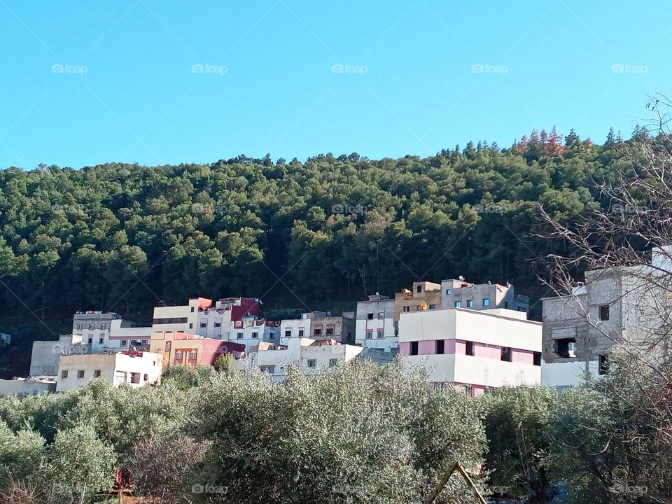 Population between the nature