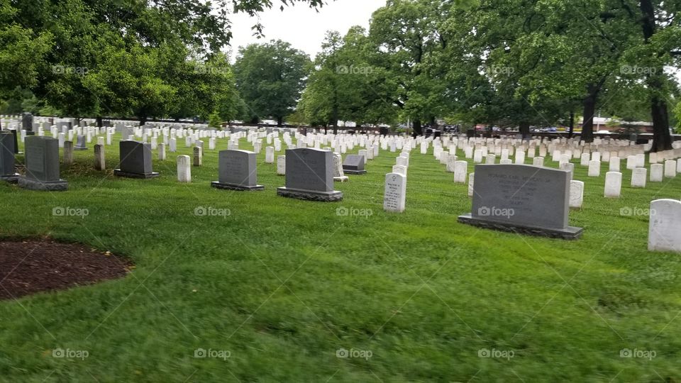 Arlington Cemetary Graves