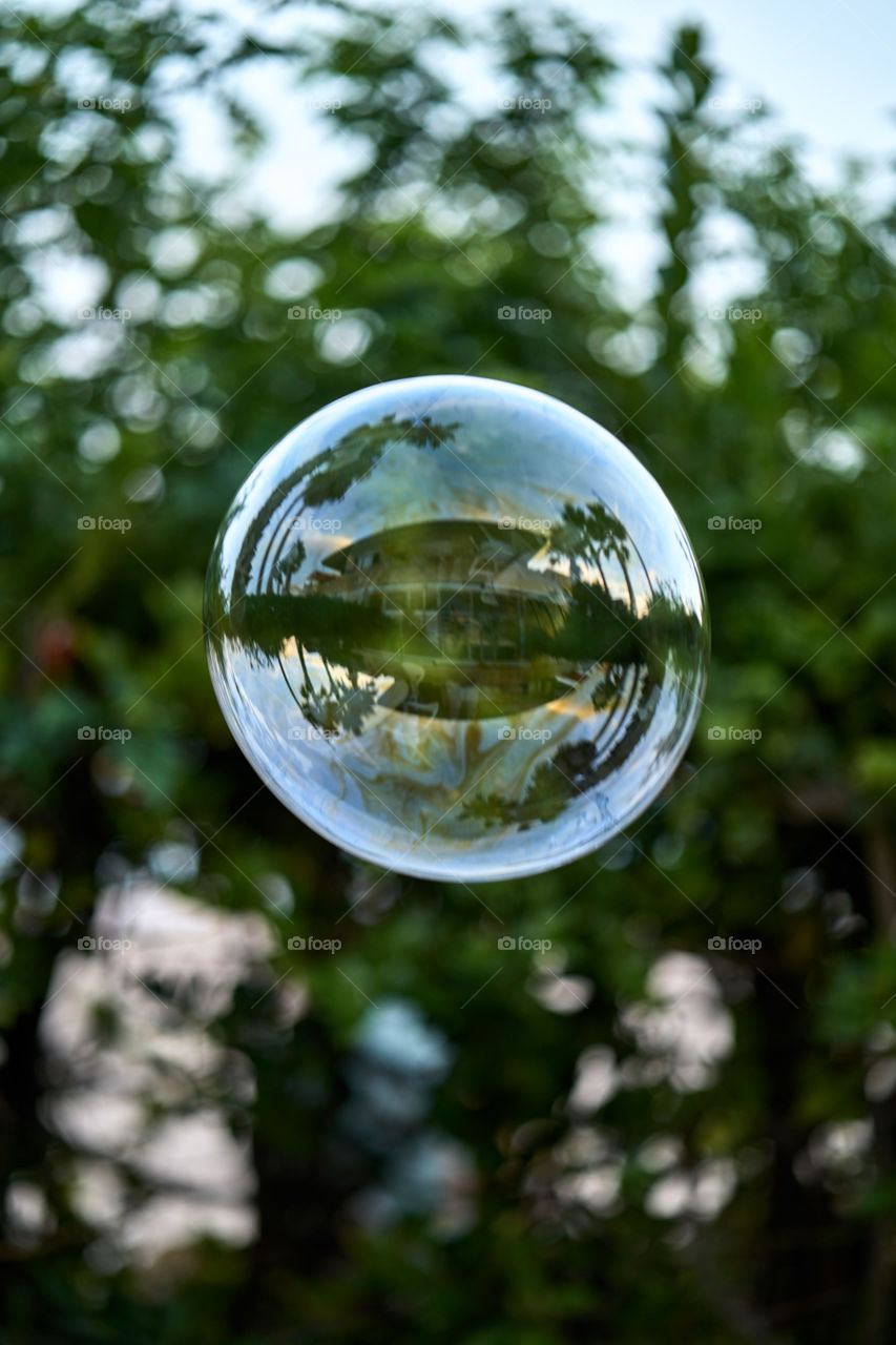 Home in a wax bubble