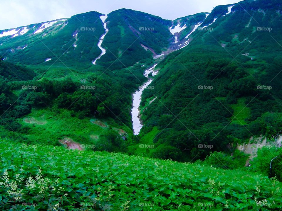 Valley of Geysers