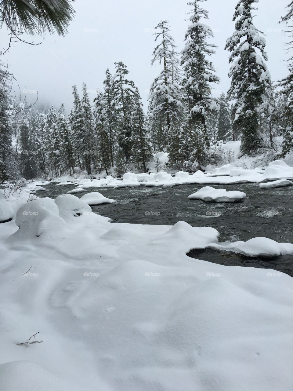 Snowy Icicle Creek