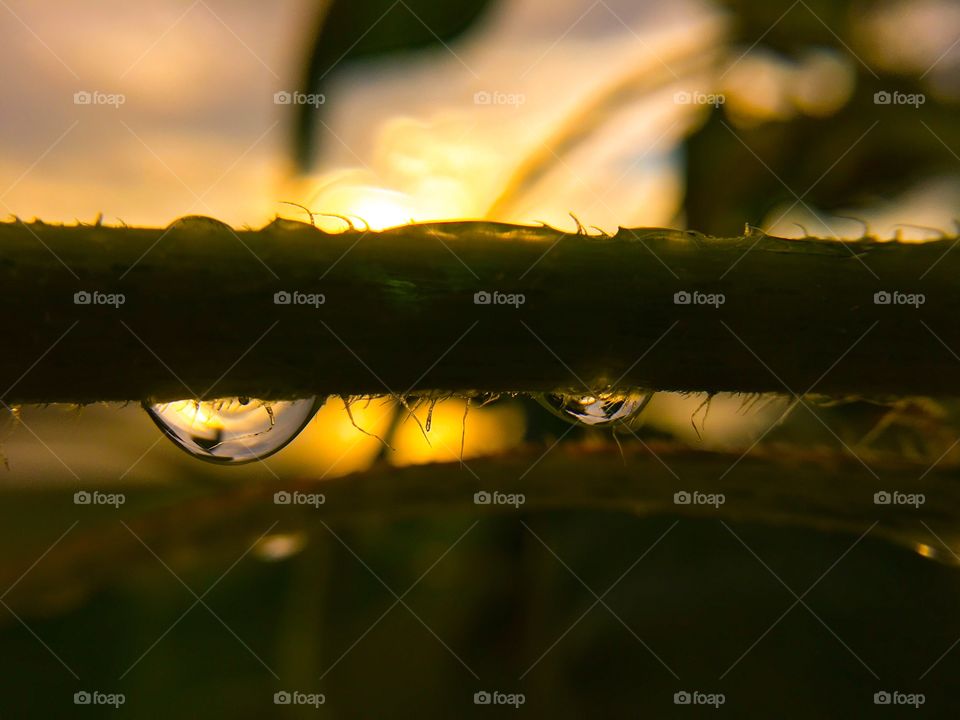 Beautiful sunset thru rain drops. 