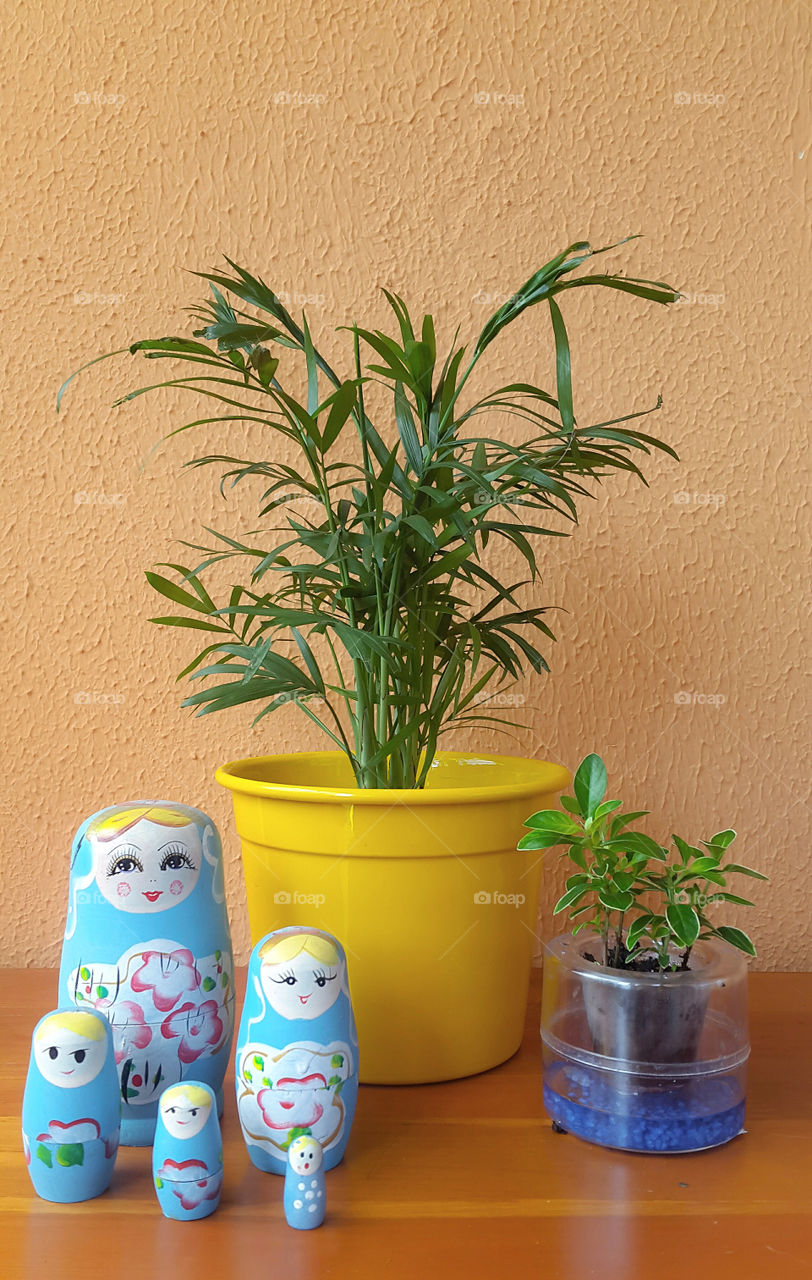 plants, pots and matrioska