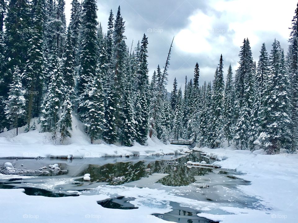 At Emerald Lake on a frosty day