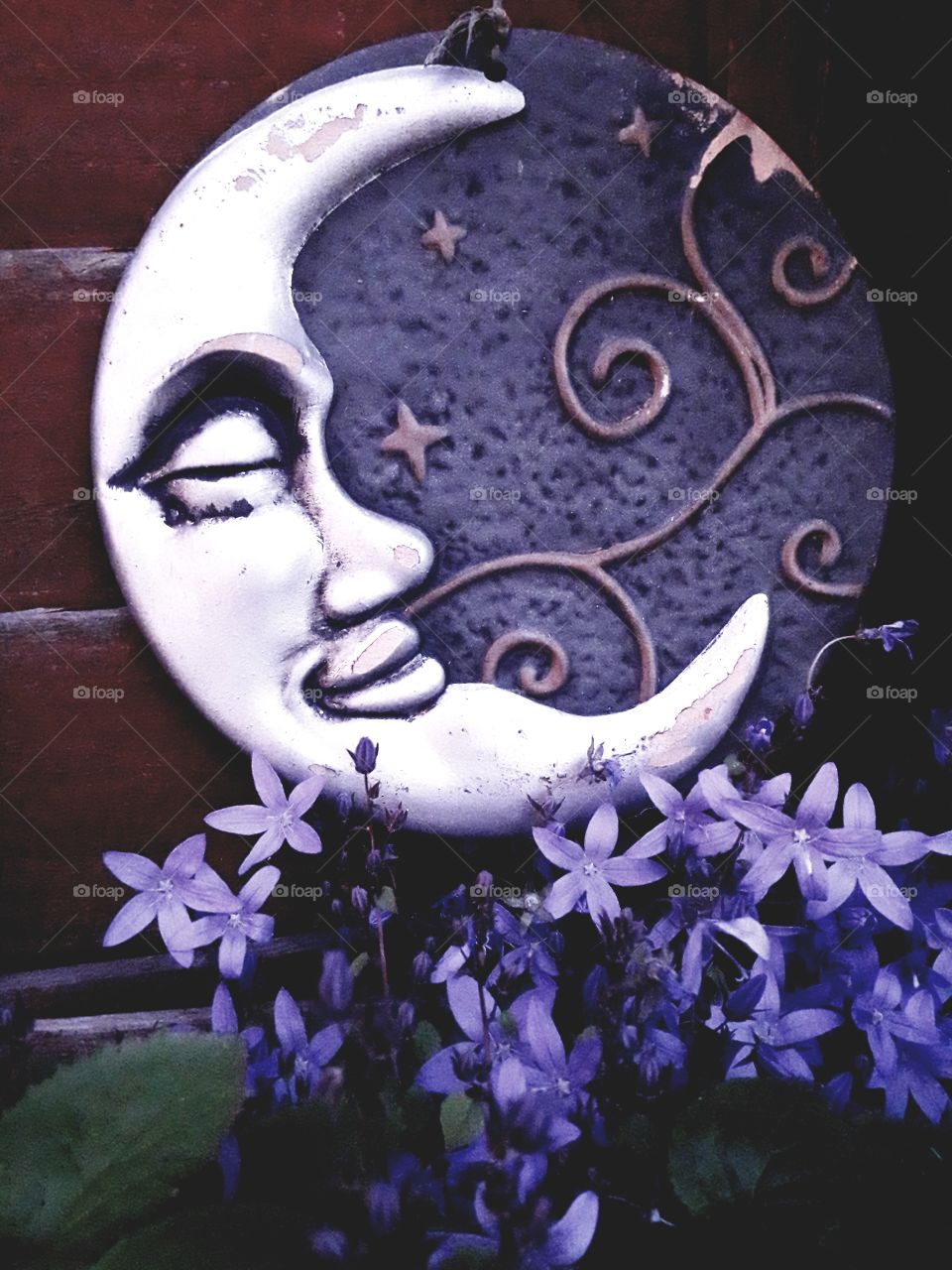 moon and flowers