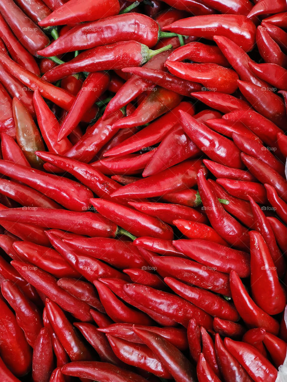 Chilli