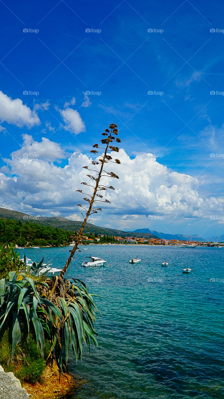 Croatian Beach near to Trogir