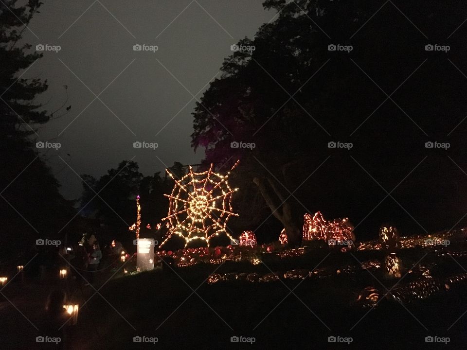 The Great Jack O’Lantern Blaze