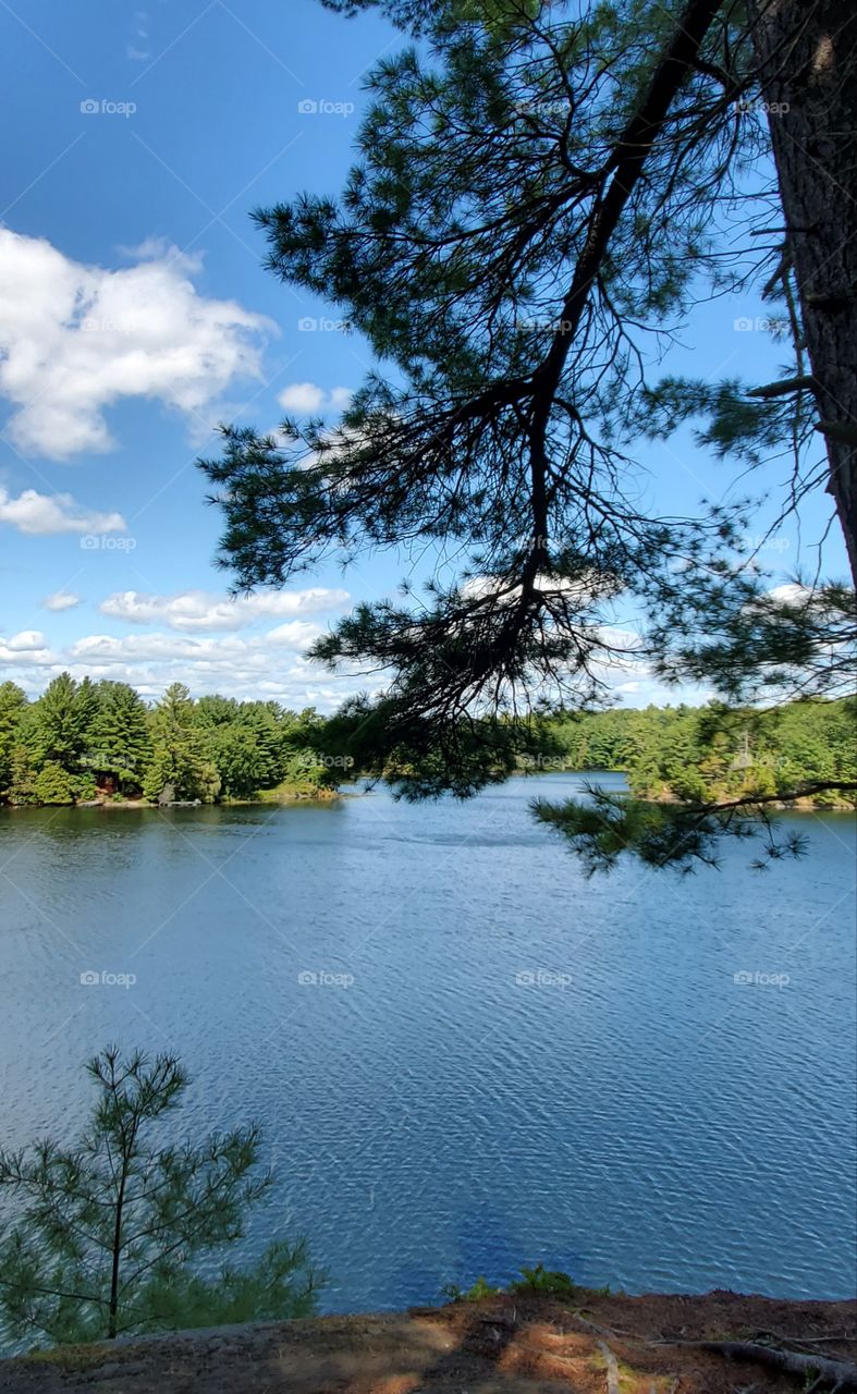 view over white fish