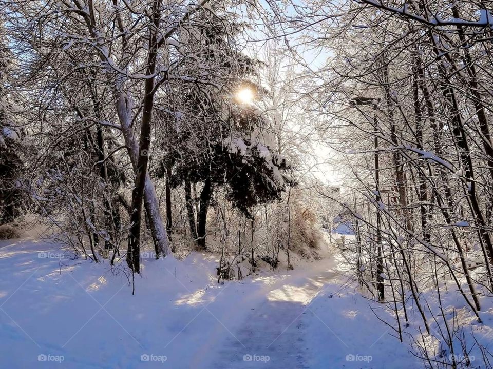 Winter pathway