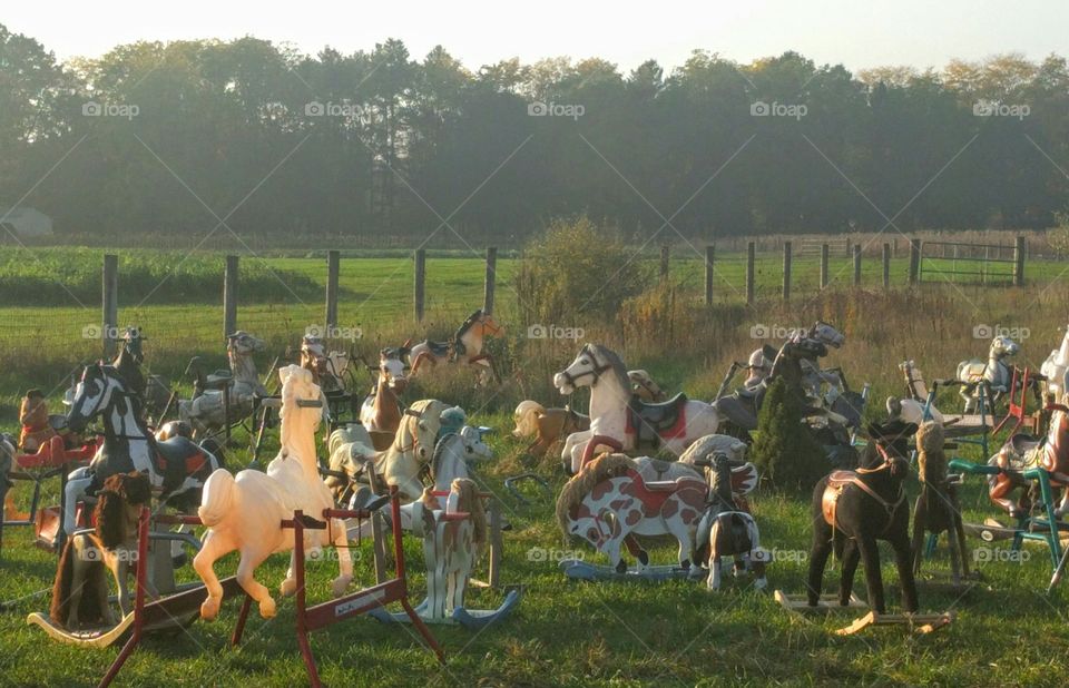The Rocking Horse Graveyard