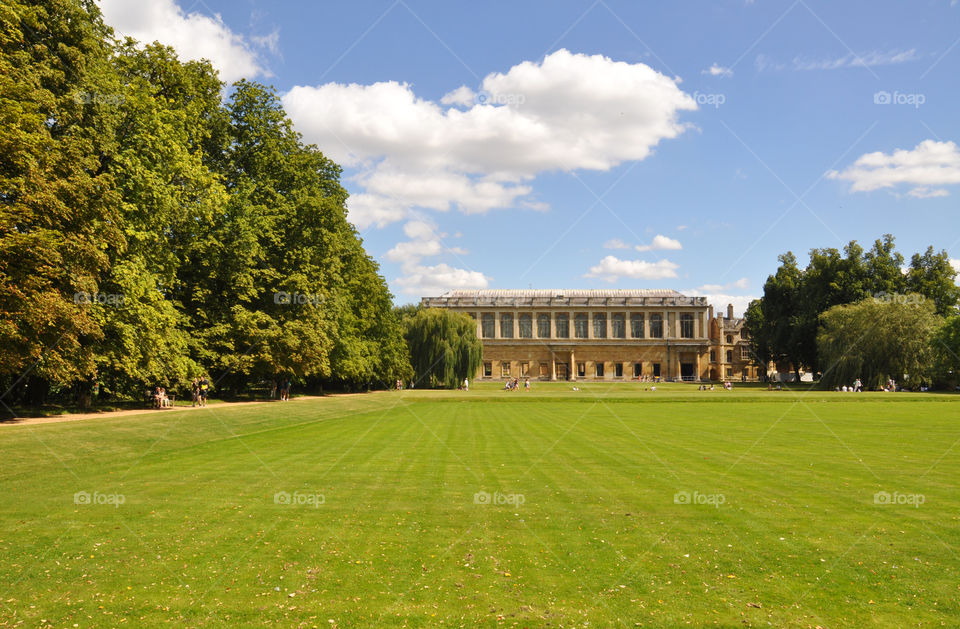 Cambridge university 