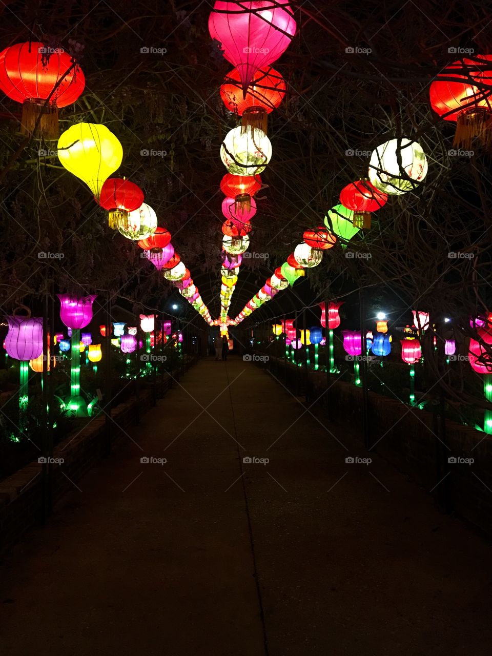 China lights, New Orleans