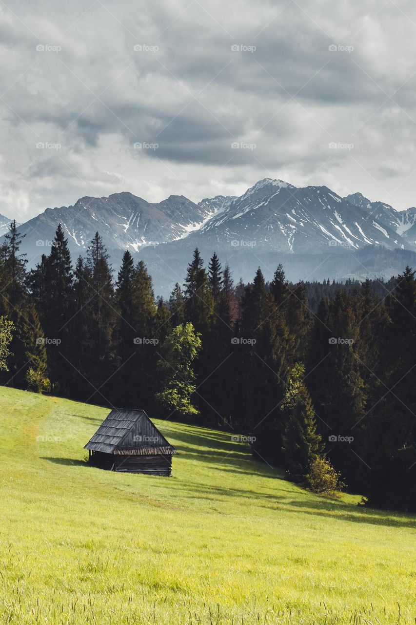 Cottage and Polish mountains