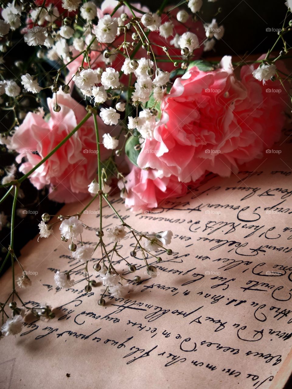 Pink carnations with white flowers lie on a sheet of paper with handwritten french text