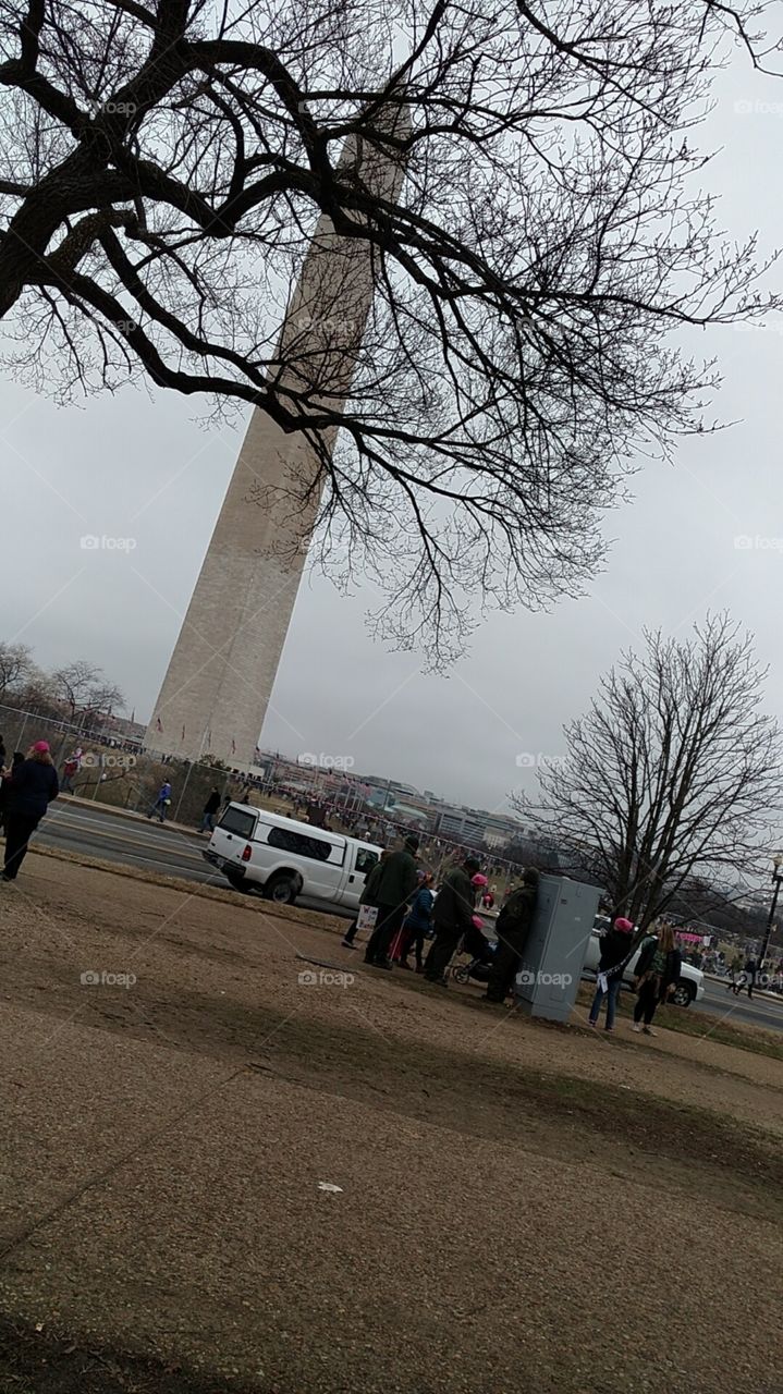 One of the last photos I took before leaving Washington DC during the Women's March