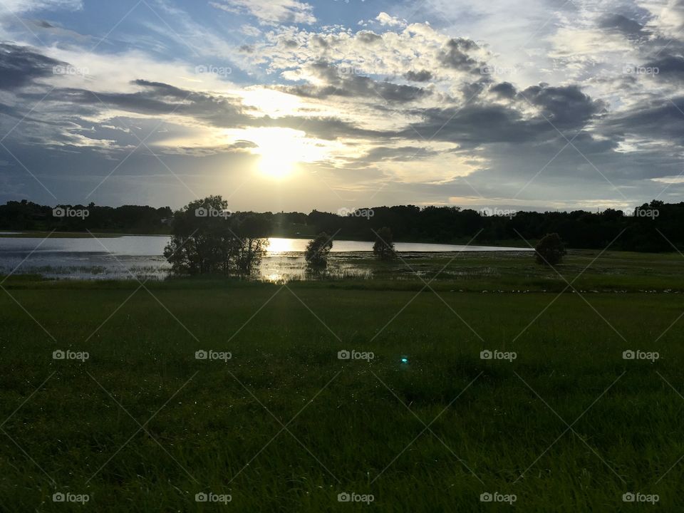 Trees underwater in a lake in Florida 