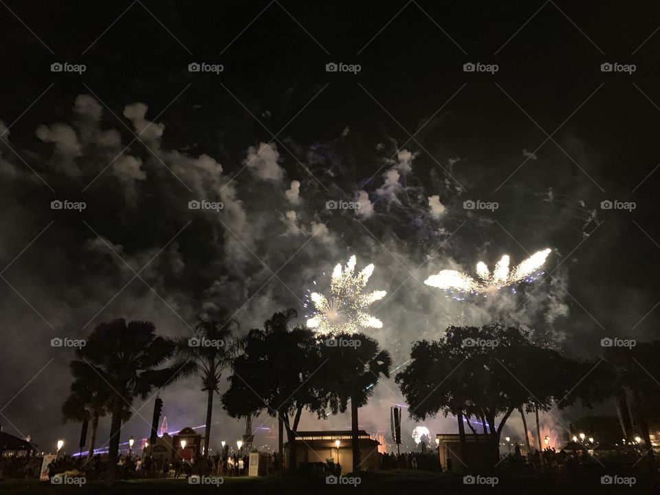 Epcot Disneyworld Fireworks