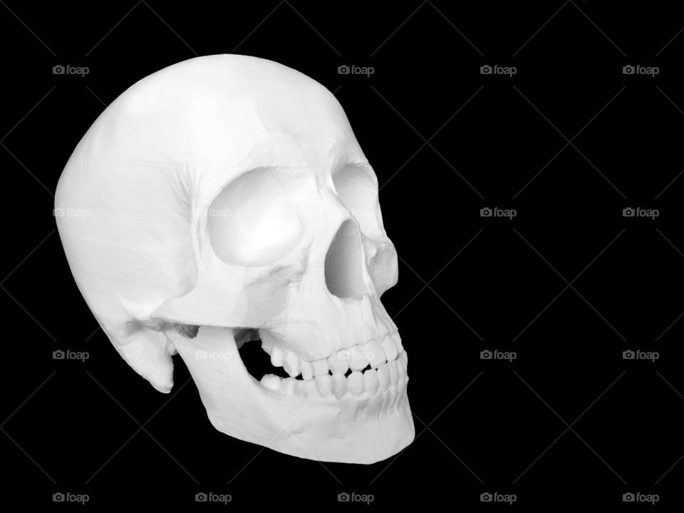 3D print skull model isolate on black background with copy space on the right side. Medical model.