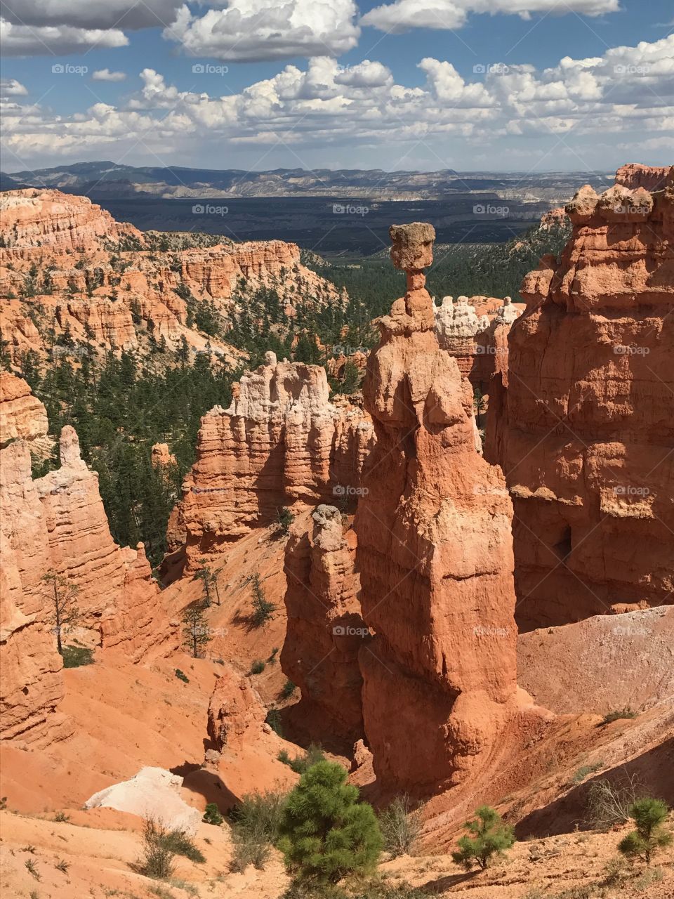 Bryce Canyon 