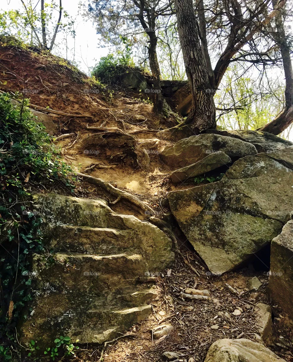 Rocks & Roots