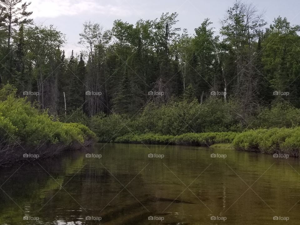 Cut River, Higgens Lake, MI