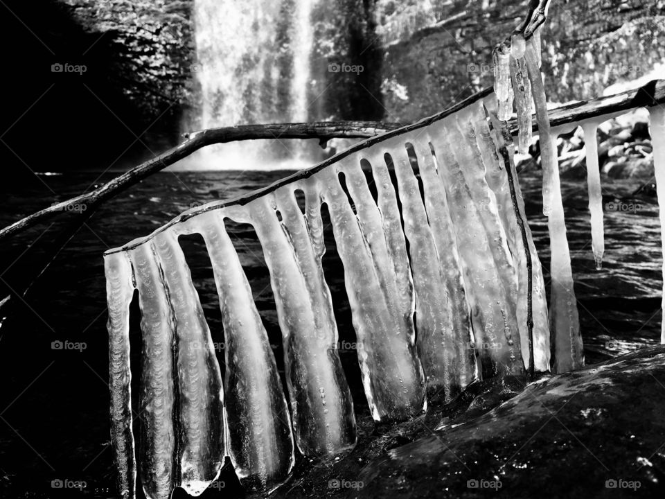 Stick-to-ground icicles at Foster Falls in South Cumberland State  Park in Tennessee