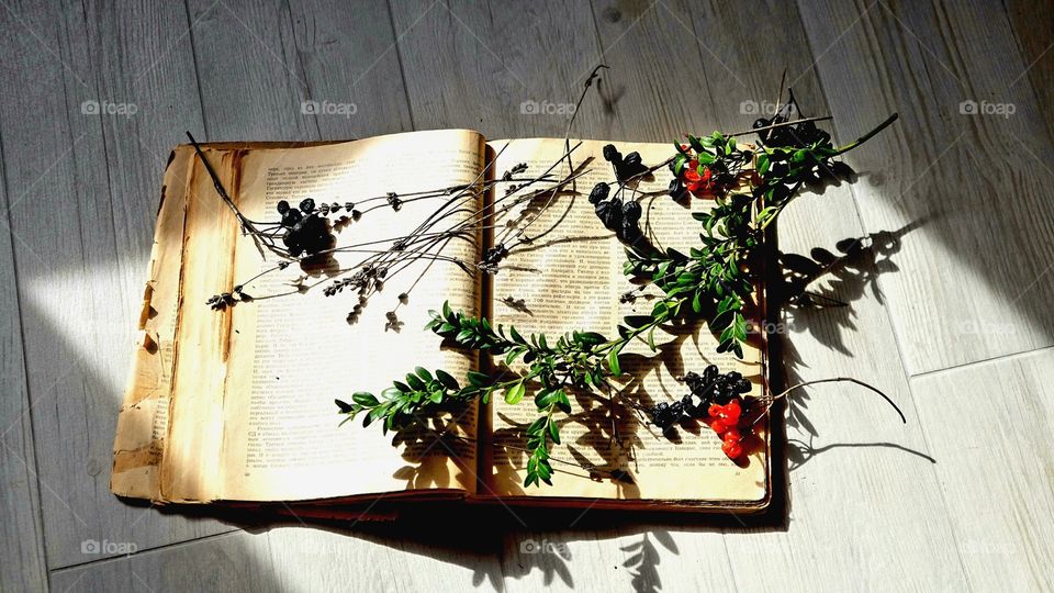 book and #plants