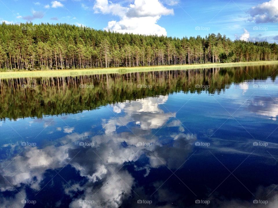Forest trees reflecting in lake