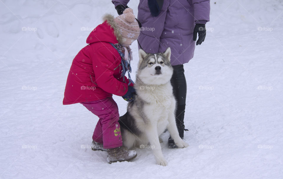 mother with daughter and dog husky