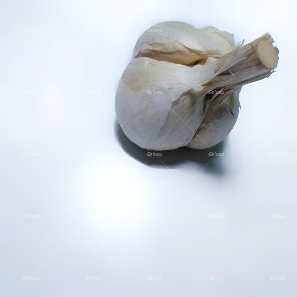 Fresh onion on white background